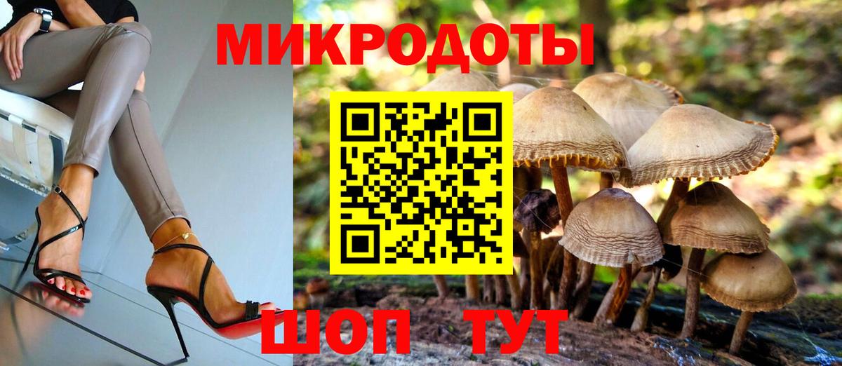 Кумертау  цены наркотик  Вход с VPN  Псилоцибиновые грибы Psilocybine cubensis 